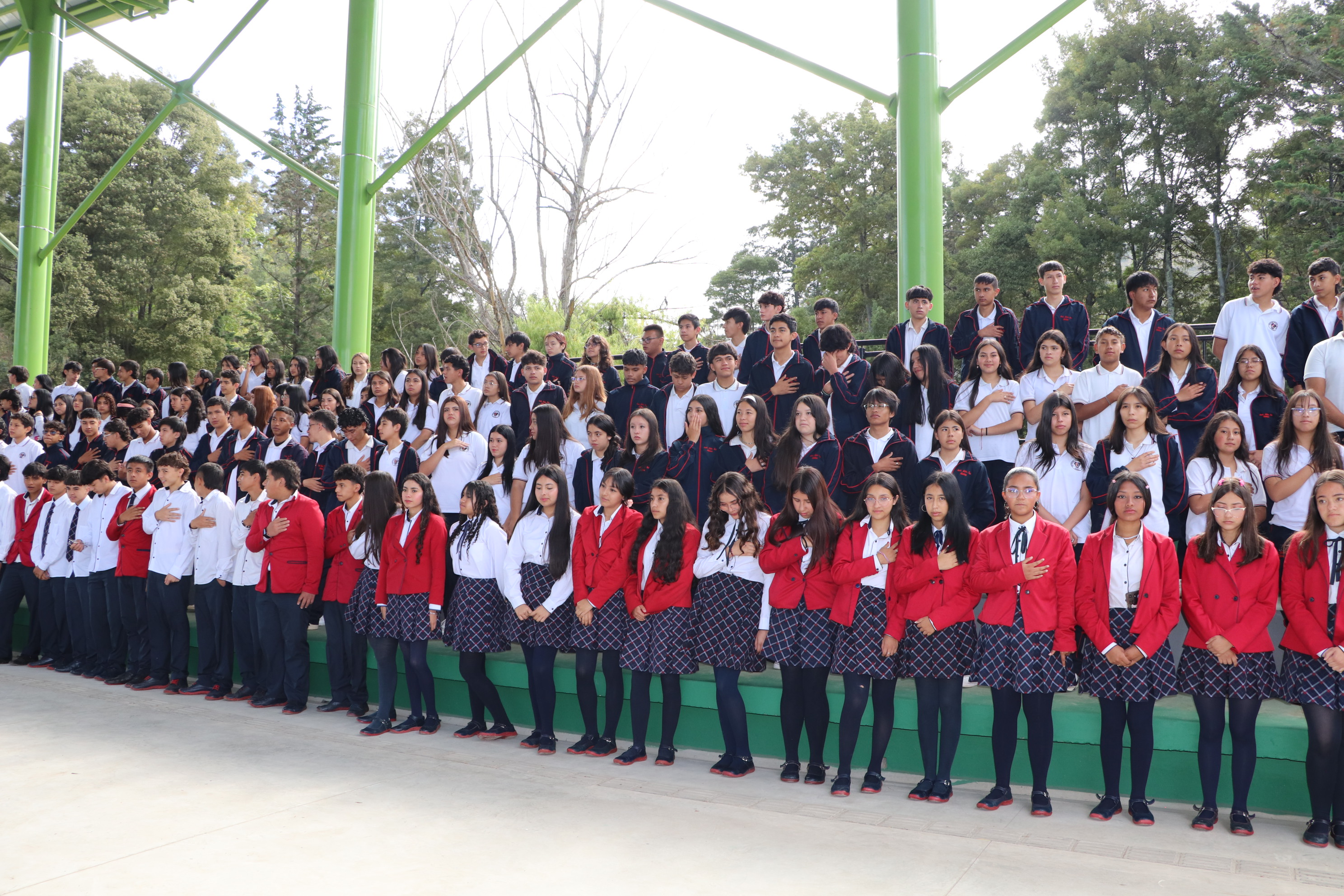 Descripción de la imagen