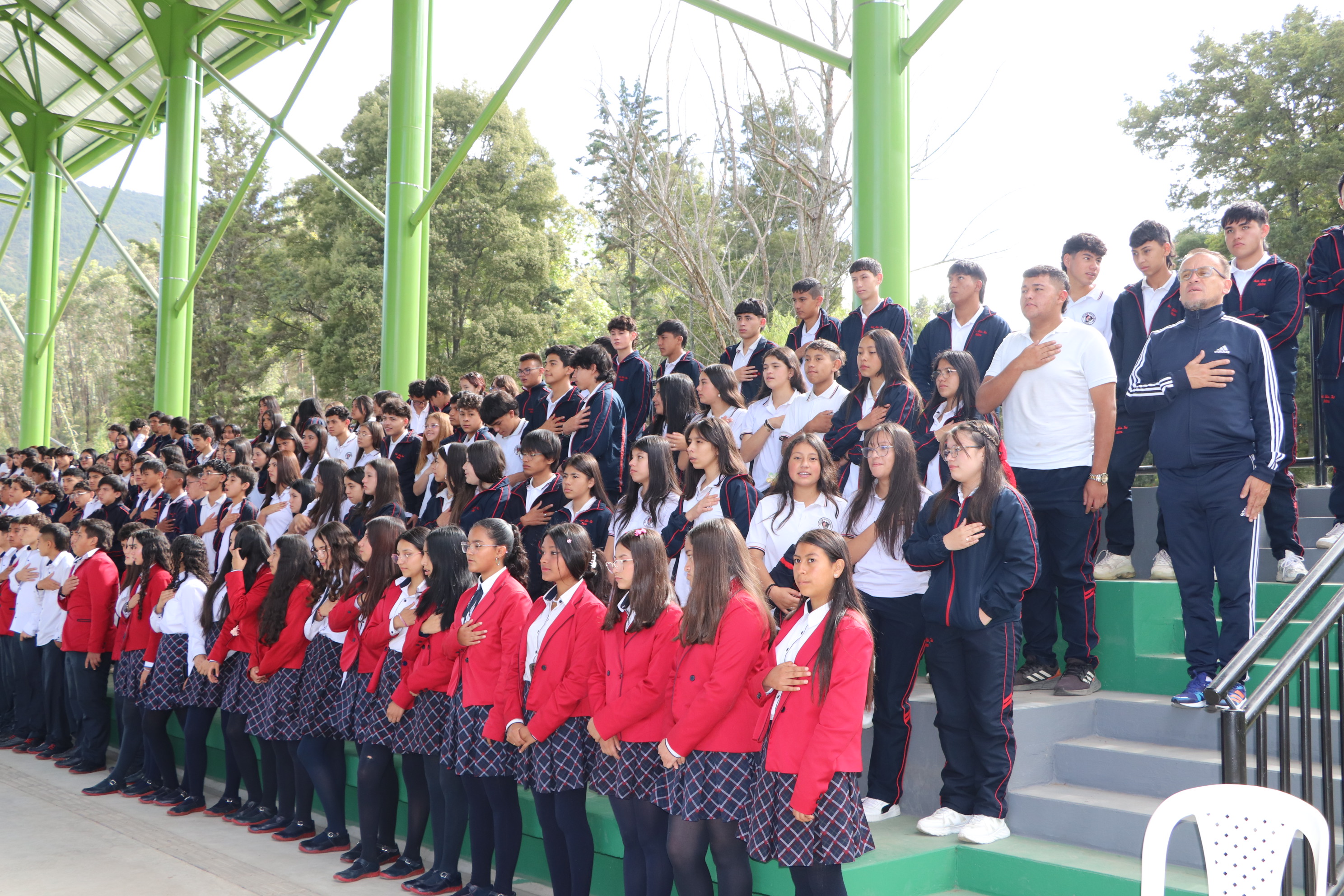 Descripción de la imagen